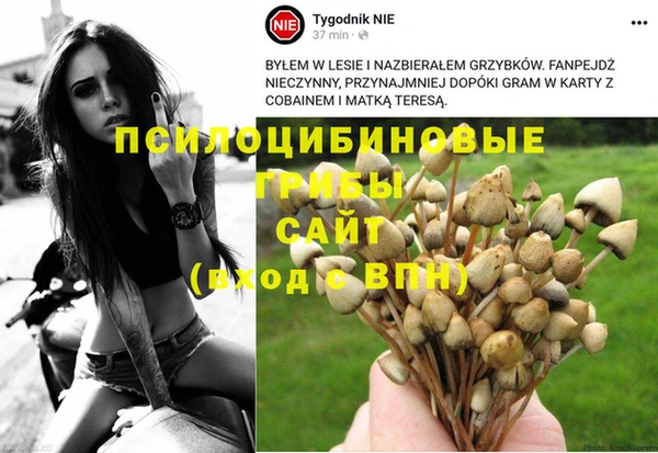 прущие крисы Бугульма